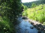 Vivien Vend�gh�z (12)
