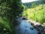 Vivien Vend�gh�z (12)