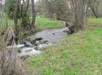 Vivien Vend�gh�z (13)