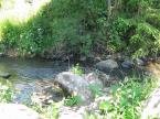 Vivien Vend�gh�z (10)