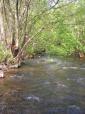 The river The river