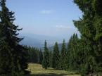 Aranypatk� Kulcsosh�z (14)