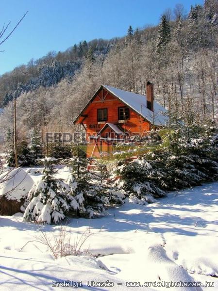 Rustic House (7)