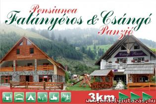 Cs�ng� Pension (1)