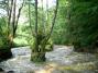 Guesthouse L�via (22)