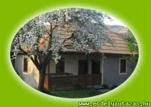 �ldom�s Panzi� (1)
