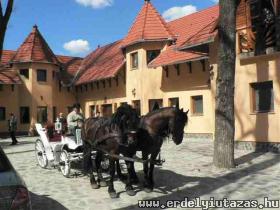 V�ndorsz�kely Panzi� (1)