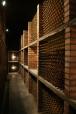 K�t F�zfa Hostel (12)