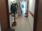 villa chesa hol