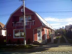 �d�m �va Panzi� (1)