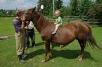 T�nd�rkert Panzi� (13)