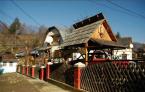 Nagy Panzi� (1)