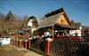 Nagy Panzi� (1)
