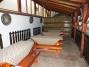 Copfoscs�rda Panzi� �s �tterem (17)