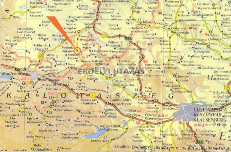 MAGNLIA Panzi (16)