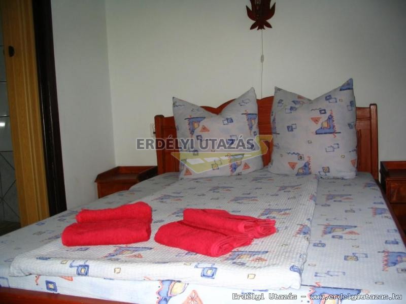 Svirg Panzi (9)