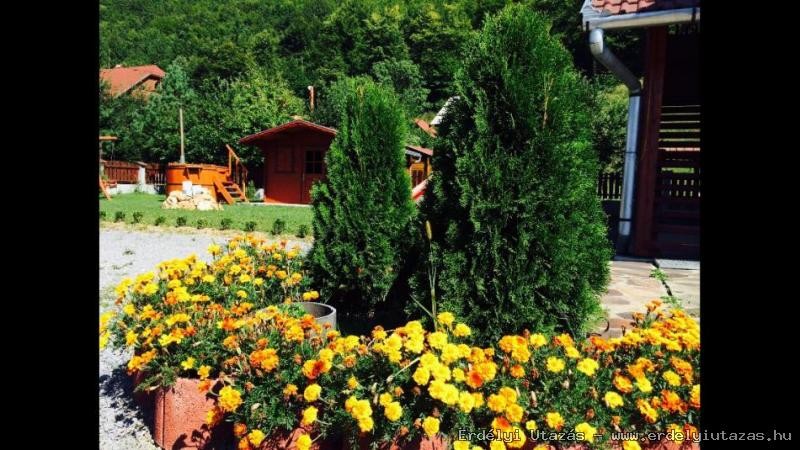Pension Olimpia (4)