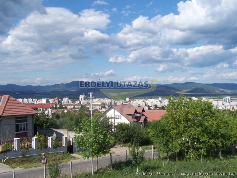 Familia Vend�gh�z (4)