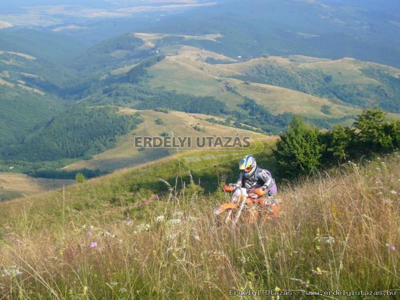 Bodrogeni Panzi� (13)
