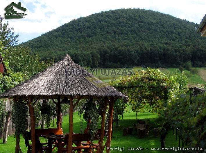 Bodrogeni Panzi� (8)