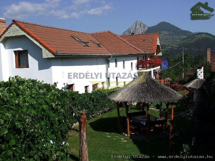 Bodrogeni Panzi� (4)