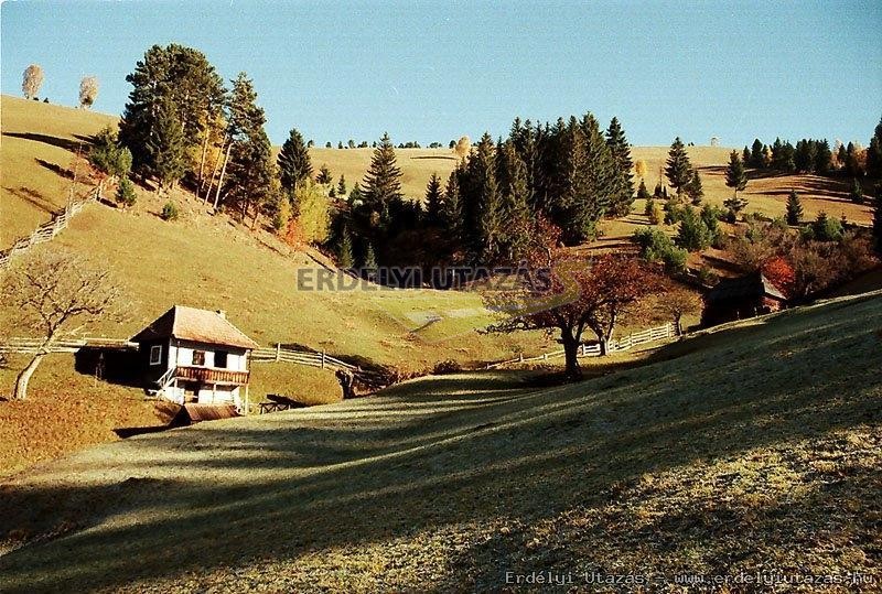 Pension & Restaurant Stern (18)