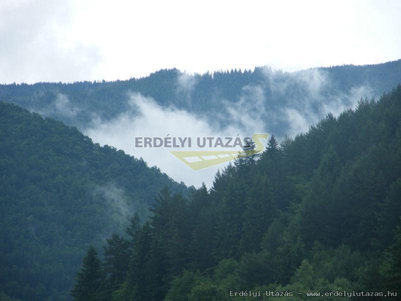Lucos Vend�gh�z (3)