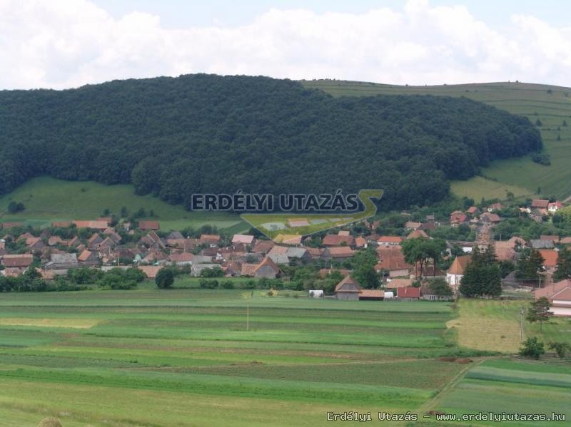 Anna Guesthouse (10)