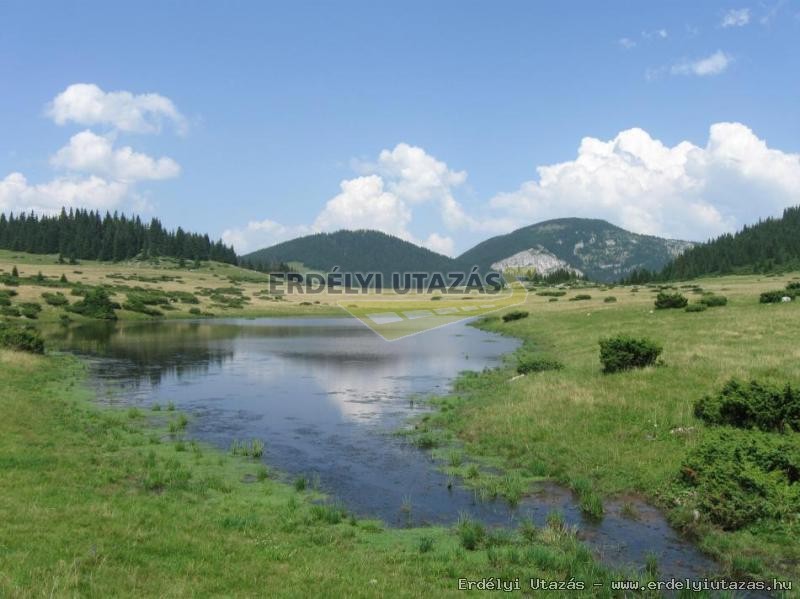Hipparion Lovastanya s Vendghz (8)