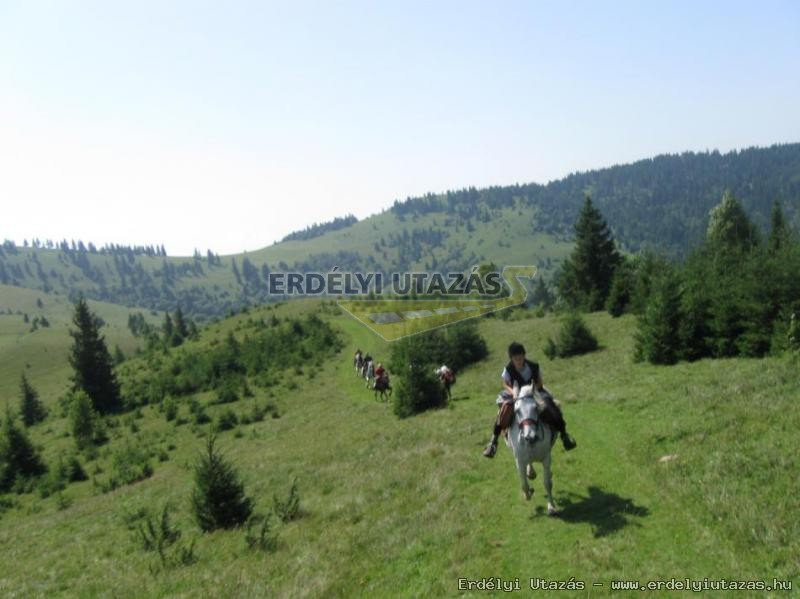 Hipparion Lovastanya s Vendghz (4)