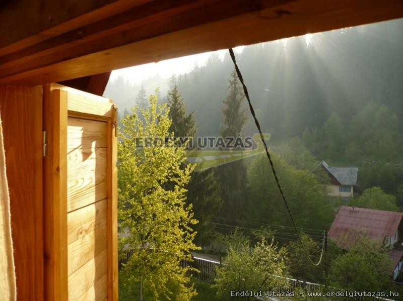 Guesthouse Zsuzsa (4)