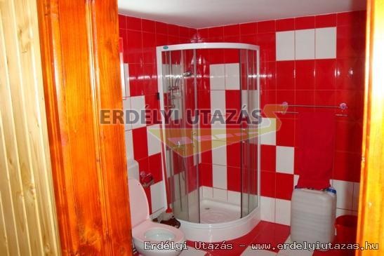 D�kok Mened�kh�za (11)