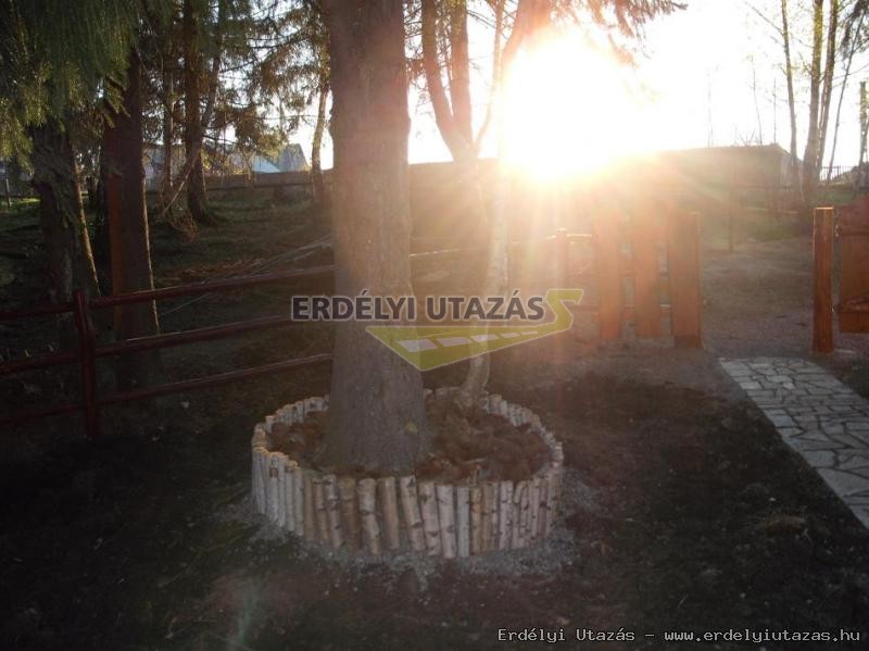 D�kok Mened�kh�za (4)