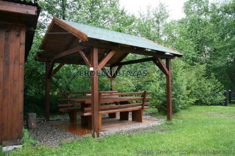 Guesthouse Banucu Ionut (Ionuc) (4)