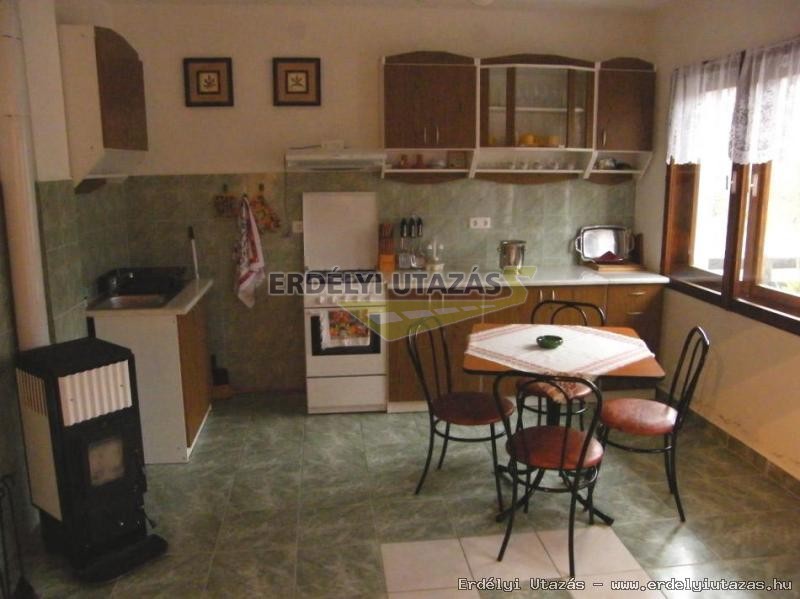 Guesthouse Banucu Ionut (Ionuc) (14)