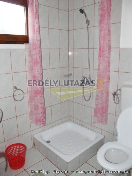Guesthouse Banucu Ionut (Ionuc) (9)