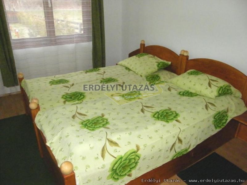 Guesthouse Banucu Ionut (Ionuc) (6)