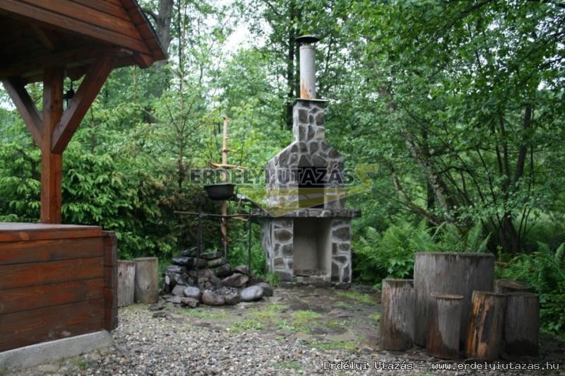 Guesthouse Banucu Ionut (Ionuc) (3)