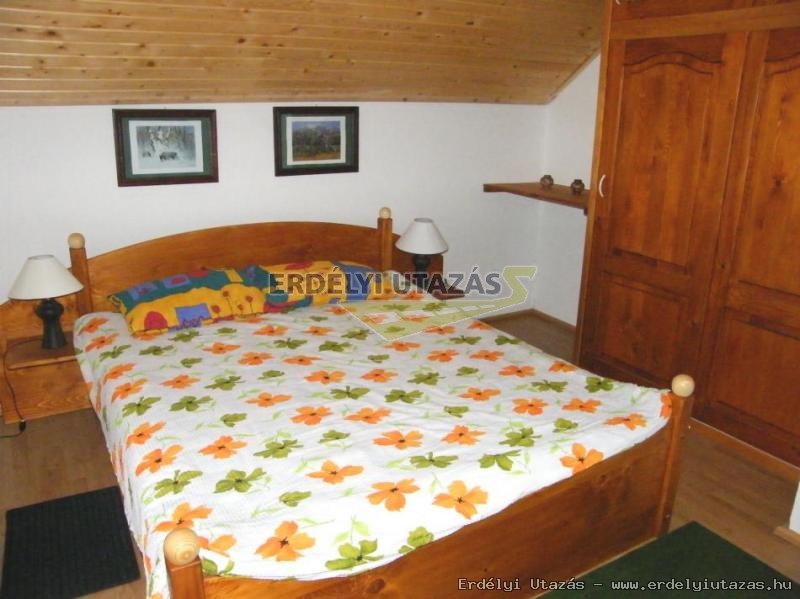 Guesthouse Banucu Ionut (Ionuc) (5)