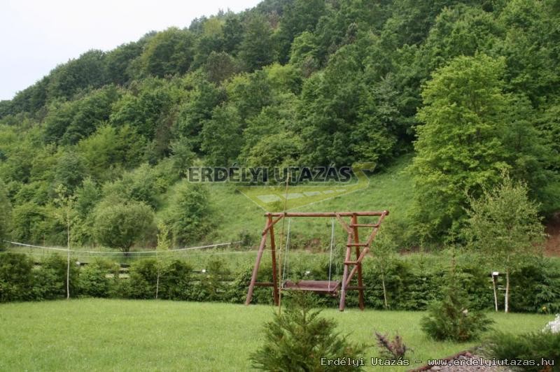 Guesthouse Banucu Ionut (Ionuc) (12)