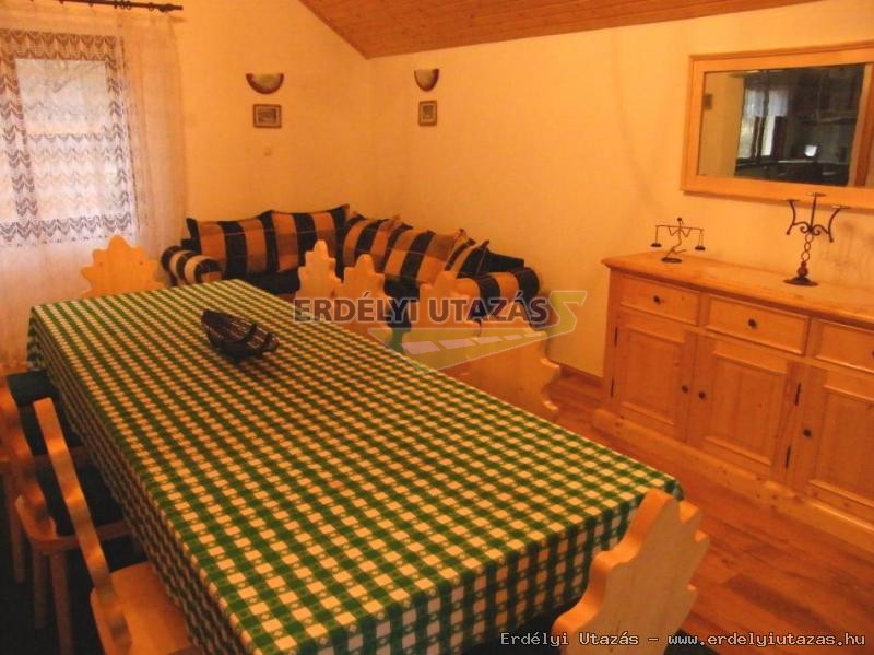 Guesthouse Banucu Ionut (Ionuc) (13)