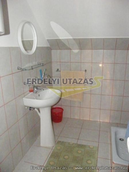 Guesthouse Banucu Ionut (Ionuc) (10)
