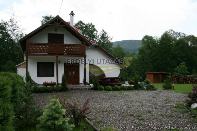 Guesthouse Banucu Ionut (Ionuc) (2)