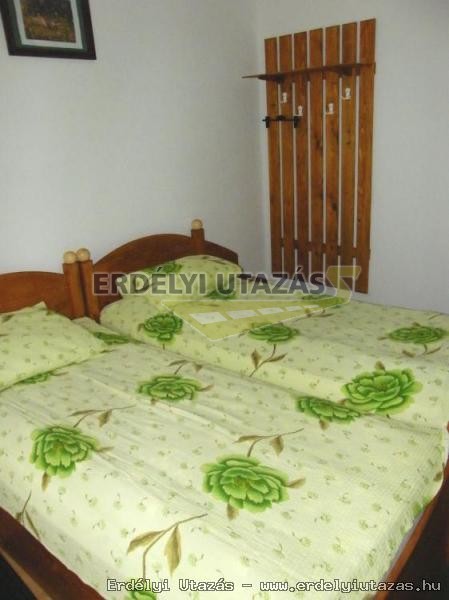 Guesthouse Banucu Ionut (Ionuc) (7)