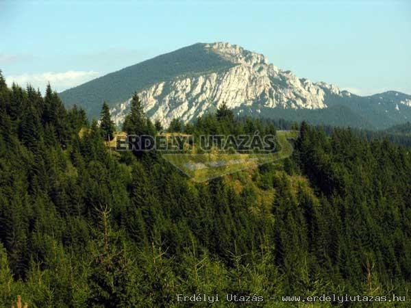 �rsi Vend�gh�z (9)