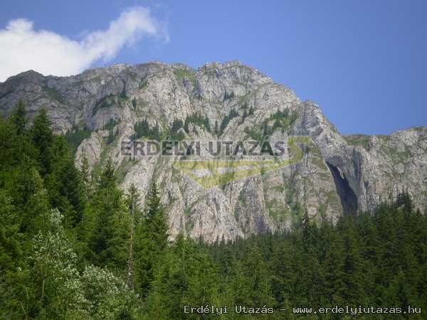 �rsi Vend�gh�z (8)