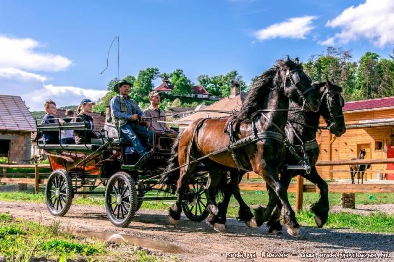 Carriage ride