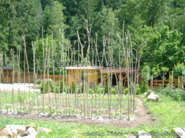 Guesthouse Snowdrop (16)