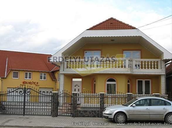 Borka Panzi (1)