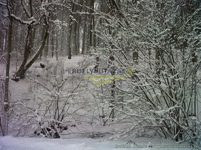 Sz�l�m�li Chalet (11)